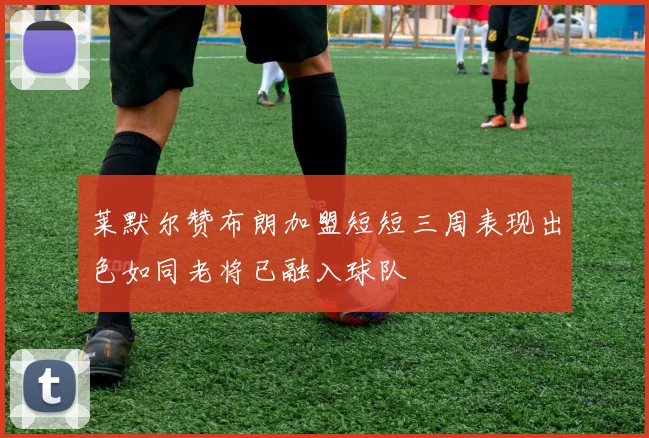 莱默尔赞布朗加盟短短三周表现出色如同老将已融入球队